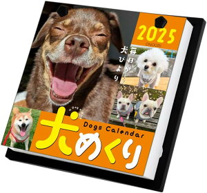 ߂ 2025N J_[ ߂ CK-D25-01 킢 ybg  tB 