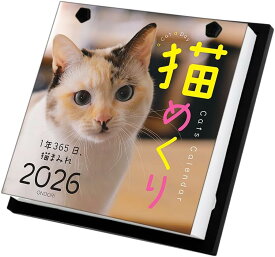 2026年度版カレンダー 猫めくり 中央経済社 かわいい 日めくり リフィル