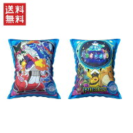 イガラシ ポケモンアームリング 16×26cm AHE-ARD 楽早くうき栓 新型バルブ採用 ポケットモンスター 浮き…