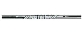 トゥルーテンパー AMT ツアー ホワイト アイアン (True Temper AMT Tour White Iron) 【単品】単品販売 リシャフト時工賃別途必要