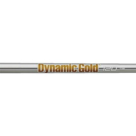 トゥルーテンパー ダイナミックゴールド 120 スチール アイアンシャフト True Temper DG 120 Iron 単品販売 リシャフト時工賃別途必要