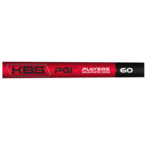 KBS PGI ACApJ[{Vtg p