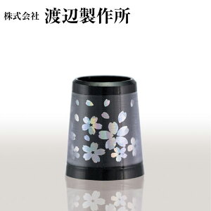 nӐ쏊  ACAp \Pbg ubNxzS[h iԍ SKI-11 3Pʔ̔