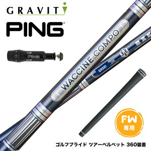 N||Ώۏi PING s FW X[utVtg WACCINE compo N`R| GR501 GR601 FW   _ 򋗗d tFAEFCp