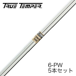 gD[ep[ _Ci~bNS[h ACApVtg 6-PW 5{Zbg TRUETEMPER Dynamic Gold cA[v^ ԃX`[Vtg