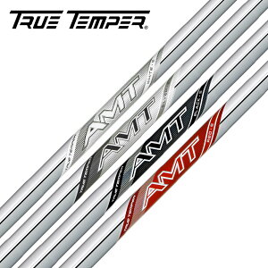 トゥルーテンパー ダイナミックゴールド Dynamic Gold AMT WHITE SILVER BLACK RED アイアンシャフト 最適 スイング 2025 新モデル