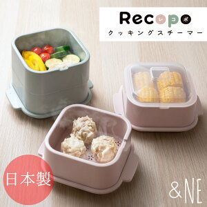 Recopo NbLOX`[}[ &NE AhGkC[   H@Ή e X^bLO t^ W ӂ t v[g Ǝy Z  炭 ȒP dq W Lb` 