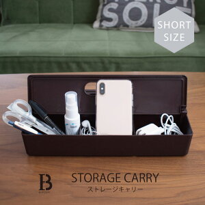 Border �X�g���[�W�L�����[ �V���[�g &NE STORAGE CARRY short �ӂ� �W �L�����[ �P�[�X �c�[�� �{�b�N�X �v���X�`�b�N �v�� �V���v�� ������� �H�� ���[ �~���^���[ ���� �����^�� �ړ� �֗� �y��