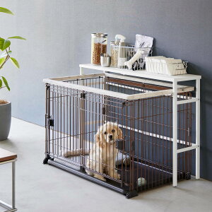 yzLkybgP[WドbN ^[ TOWER R zCg ubN ybg P[WbN ybgt[h ybgObY  ybgV[g u TCY  ֗ 4086 40