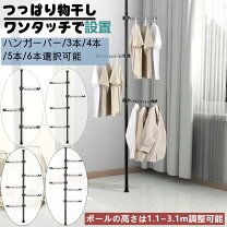 洗濯 ポールの通販