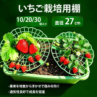 イチゴサポート 10個/20個/30個入り イチゴ支え イチゴ棚 イチゴスタンド 植物ホルダー プラスチック製 …