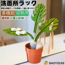 楽天市場】モンステラ（鏡｜インテリア・寝具・収納）の通販