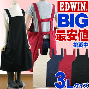yEŋzzyyVq365z_Ă܂I^Gv 3L 傫TCY Ԃ邾 Y  JtF jp n H^ i Vv EDWIN fB[X j  ۈm 