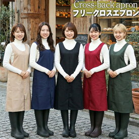 エプロン 無地 フリークロス かぶるだけ シワになりにくい ノーアイロン 介護 薄くて軽い 涼しい ブランド カフェ レディース 50代 可愛い お尻が隠れる シンプル かぶり 接客 業務 保育士 おしゃれ 農作業