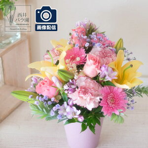 Ê j  킪Iׂ t[AWg  v[g  o  Ε a җ  Ď P LO   b j e e e  