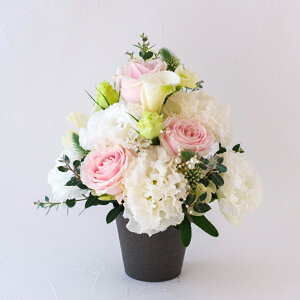 Ê j  킪Iׂ t[AWg  v[g  o  Ε a җ  Ď P LO   b j e e e  