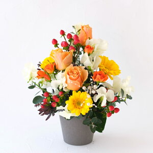 Ê j  킪Iׂ t[AWg  v[g  o  Ε a җ  Ď P LO   b j e e e  