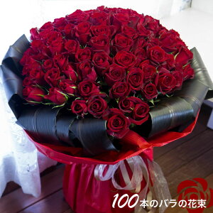 o100{̉ԑ Ê j  t[AWg 70ΌÊ 80 P a 6  LO v[g