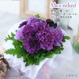 母の日 遅れてごめんね 青いカーネーション ムーンダスト そのまま飾れる 花束 花瓶のいらない 長持ち ラッピング付き best プレゼント お母さん おばあちゃん 誕生日 60代 70代 80代 古希や喜寿のお祝いに紫の花 お祝い 結婚祝い 記念日 女性 お供え