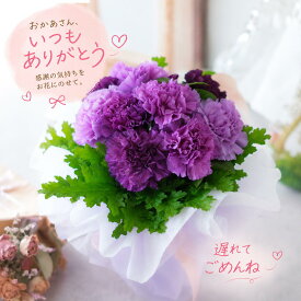 母の日 遅れてごめんね 青いカーネーション ムーンダスト そのまま飾れる 花束 花瓶のいらない 長持ち ラッピング付き best プレゼント お母さん おばあちゃん 誕生日 60代 70代 80代 古希や喜寿のお祝いに紫の花 お祝い 結婚祝い 記念日 女性 お供え