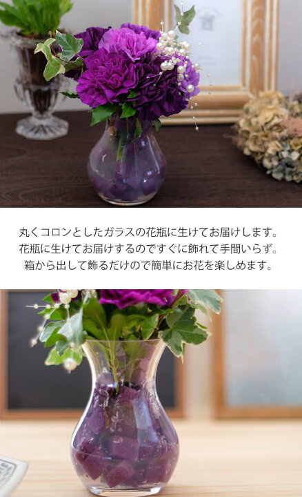 誕生日 ギフト 青い 紫 カーネーション 花 花瓶付き花束 スクレ ムーンダスト Mサイズ 国内外の人気が集結 誕生日 ギフト 青い 紫 カーネーション 花 花瓶付き花束 スクレ ムーンダスト Mサイズ 国内外の人気が集結