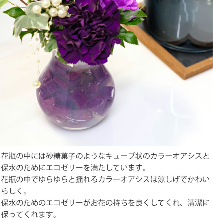 楽天市場 誕生日 ギフト 青い 紫 カーネーション ムーンダスト 花束 花 花瓶付き花束 スクレ Sサイズ 贈り物 傘寿 古希 お祝い お見舞い 上品 パープル お供え 送料無料 西井バラ園 フラワーギフトのお店 楽天市場 誕生日 ギフト 青い 紫 カーネーション ムーンダスト 花束 花 花瓶付き花束 スクレ Sサイズ 贈り物 傘寿 古希 お祝い お見舞い 上品 パープル お供え 送料無料 西井バラ園 フラワーギフトのお店