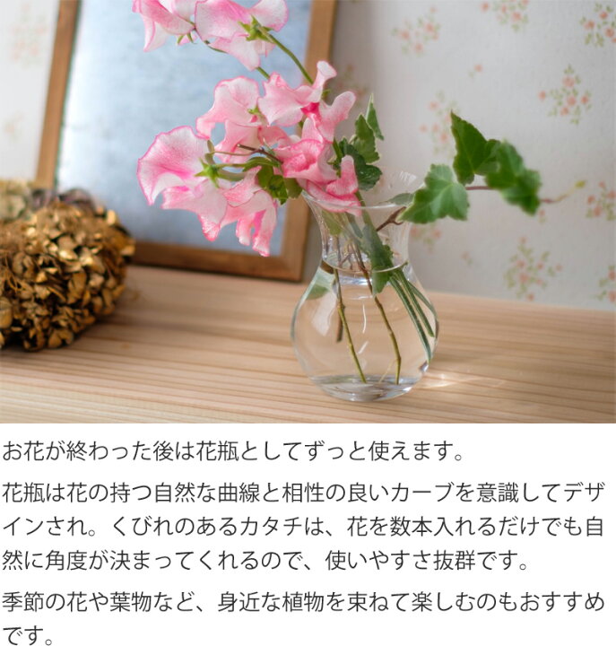 楽天市場 敬老の日 誕生日 ギフト 青い 紫 カーネーション ムーンダスト 花束 花 花瓶付き花束 スクレ Sサイズ 贈り物 傘寿 古希 お祝い お見舞い 上品 パープル お供え 送料無料 西井バラ園 フラワーギフトのお店 楽天市場 敬老の日 誕生日 ギフト 青い 紫 カーネーション ムーンダスト 花束 花 花瓶付き花束 スクレ Sサイズ 贈り物 傘寿 古希 お祝い お見舞い 上品 パープル お供え 送料無料 西井バラ園 フラワーギフトのお店
