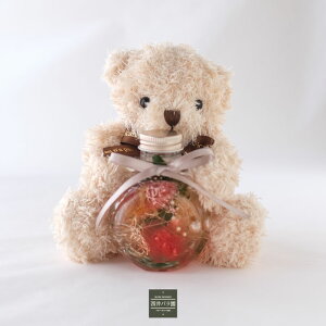 yÊ  jz av[g ʂ݂Ƃ v[g vU[uht[ ԑ J[l[V n[oE ʂ   j ԂƂʂ a M