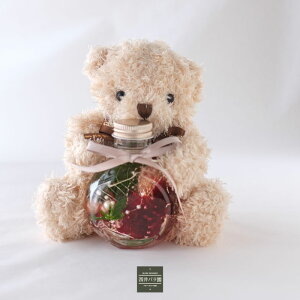 yÊ  jz av[g ʂ݂Ƃ v[g vU[uht[ ԑ J[l[V n[oE ʂ   j ԂƂʂ a M