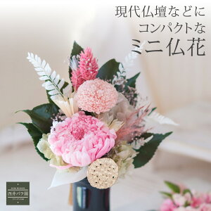 vU[uht[ RpNg   AW ԑ vU ~j  䋟 dp  X^h e JX~\E AWTC @ _ d  d d ފ  