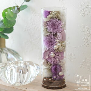 vU[uht[  KXh[  ͂Ȃ AW ԑ vU  䋟 p dp p @p {  Ԉ RpNg _d 㕧d ~