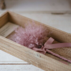 Əj  wj  vU[uht[ ppXOX {bNX ؔ Ǐ EH[fR[V k i` Vr[VbN CeA tbtB[ a