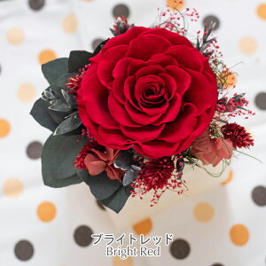 Ê j v[g  v[g Ԃ \ 킪 vU[uht[ Ê j  o [Y A[T Lh a 6 LO  Vz V CeA 