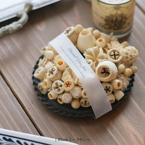 Ȗ؂̎̃[X NX}X [X ibc[X t[[X  I[ig Zbg k i` CeA Ê z Vz j  a 6 v[g Mt