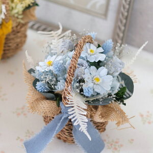 Ê j v[g  vU[uht[ ݂ ݑ AWTC o KN AW oXPbgAW Ê j  a 6 v[g Mtg蕨 җ P 