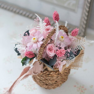 Ê j v[g  vU[uht[ ݂ ݑ AWTC o KN AW oXPbgAW Ê j  a 6 v[g Mtg蕨 җ P 