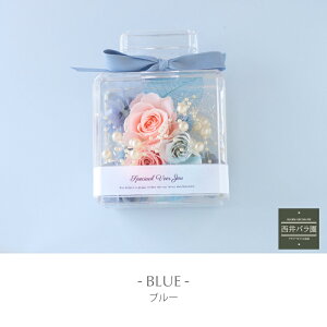 vU[uht[ P[XAWg v[g  tOX {gP[X o j  a av[g Ê  70 77 1 2 Mtg 蕨  