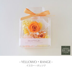 vU[uht[ P[XAWg v[g  tOX {gP[X o j  a av[g Ê  70 77 1 2 Mtg 蕨  