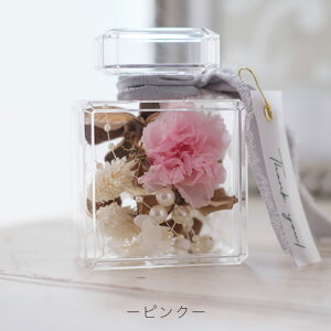 Ê j v[g  v[g Ԃ \ vU[uht[ pq[  {g P[X P[XAW J[l[V j  a 6 v[g Mtg 