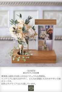 vU[uht[ v[g AW ʐ^ tHgX^h ̎ʐ^ ybg   ʐ^ ԑ u[P vU  a LO j Vzj Ê   