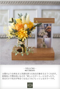 vU[uht[ v[g AW ʐ^ tHgX^h ̎ʐ^ ybg   ʐ^ ԑ u[P vU  a LO j Vzj Ê   