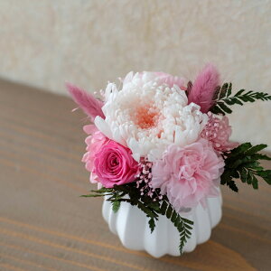 Ê j v[g  v[g Ԃ \ vU[uht[ [꣉] e 蕨 Mtg v[g ybg   a 6 LO җ Ê   a ΂