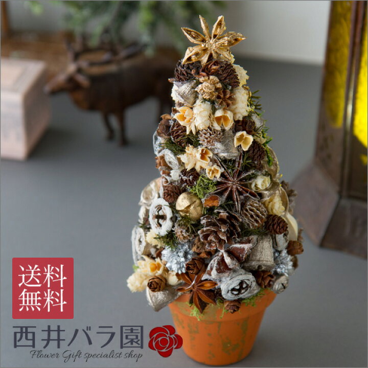楽天市場 X Masの飾りに クリスマスツリー 木の実のツリー テラコッタの土台 に木の実で作ったchristmasを上品に演出するプリザーブドフラワーのツリー もちろんギフトやプレゼントに ご自宅のインテリアにも 西井バラ園 フラワーギフトのお店
