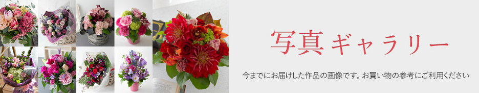 写真ギャラリー