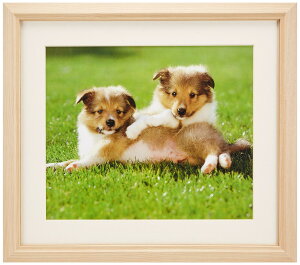 FUJICOLOR �z�� M12 �A�N���� �ؒn 4�� �ؐ� �x�[�W�� 47023