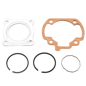 �f�C�g�i(Daytona) �o�C�N�p �K�X�P�b�g+�s�X�g�������O�Z�b�g ���C�uDIO ZX(94-ALL)�ȂǗp �I�[�o�[�z�[���L�b�g 95414