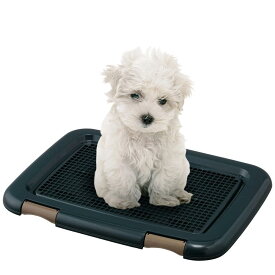 アイリスオーヤマ 犬 トイレ メッシュカバー付 フチもれしにくいトレーニングペットトレー レギュラー 銀イオン配合 抗菌 ネイビー