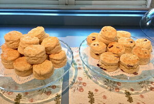 *`̃oNXR[v[&Nx[510yⓀ֔z