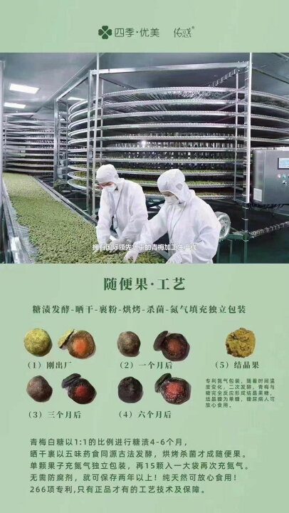 楽天市場】発酵梅 随便果 10g×15個 2箱 30個 ずいびんか 天然発酵食品  