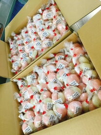 【杵つき紅白投げ餅50セット】 （ 50g × 2ケ入50組入 ） 送料無料 名入れ ラベル無料 紅白餅 まき餅 餅投げ 投げ餅 餅なげ もちなげ なげ餅 棟上げ お祝い餅 もち もち米 無添加 広島県産 手作り お祝い もち お餅 おもち 祝い おめでとう ありがとう 上棟式 プレゼント